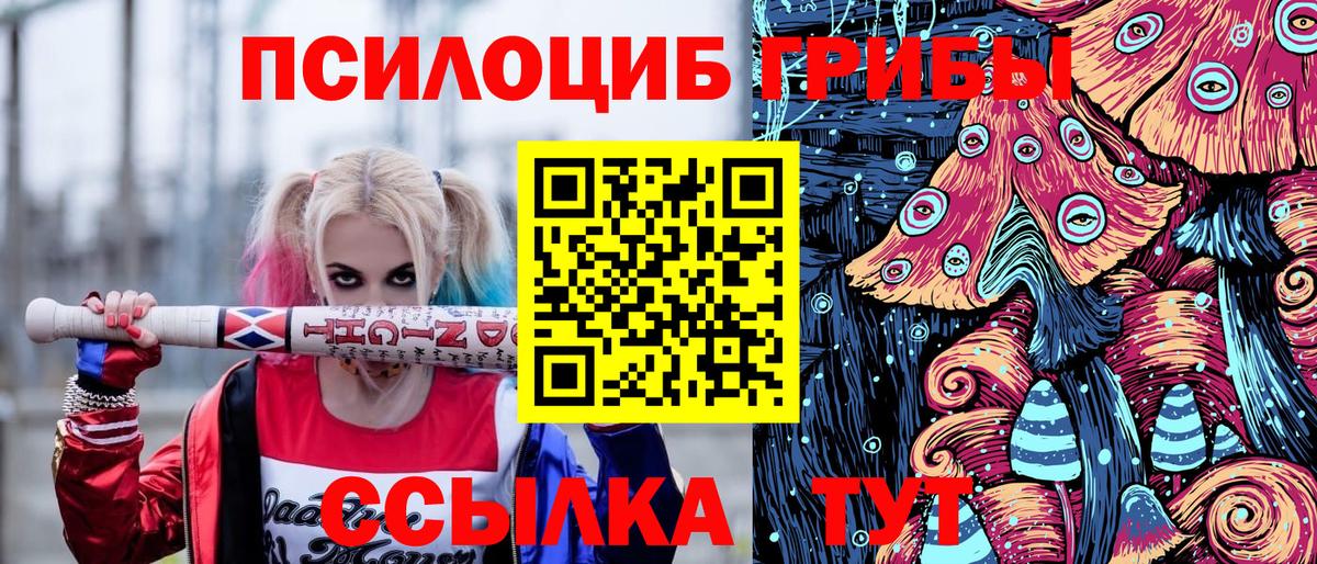 Галлюциногенные грибы Magic Shrooms  Вход с VPN  Галлюциногенные грибы Psilocybine cubensis  Омск 
