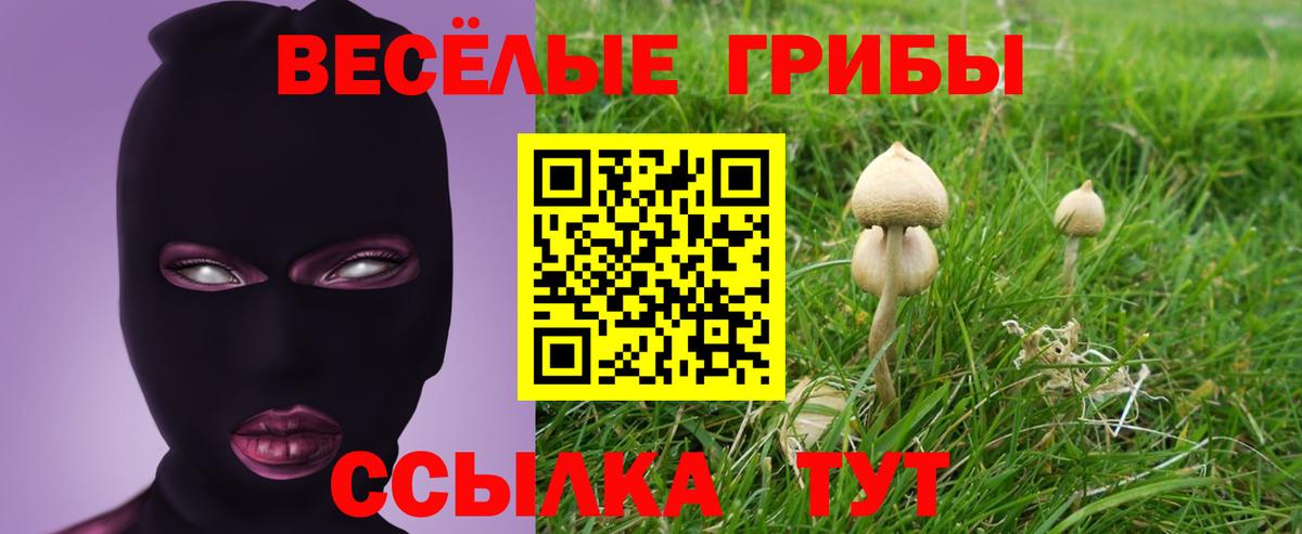 Галлюциногенные грибы Magic Shrooms Омск